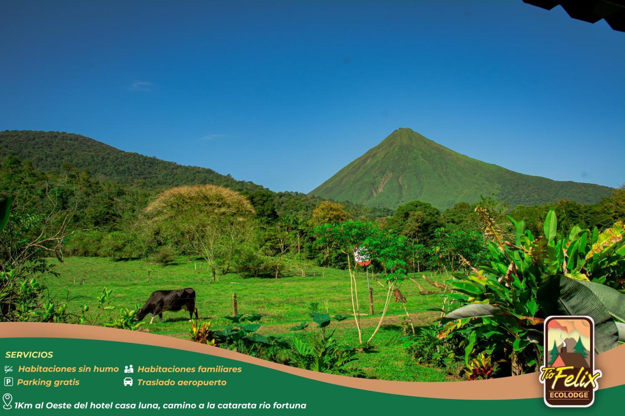 Tio Felix Eco Lodge La Fortuna Εξωτερικό φωτογραφία