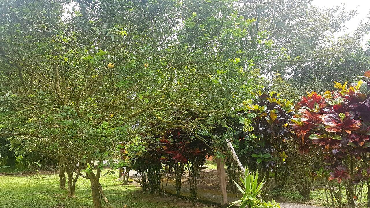 Tio Felix Eco Lodge La Fortuna Εξωτερικό φωτογραφία