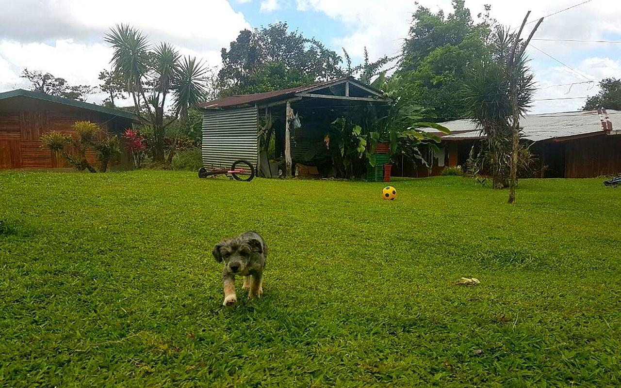 Tio Felix Eco Lodge La Fortuna Εξωτερικό φωτογραφία