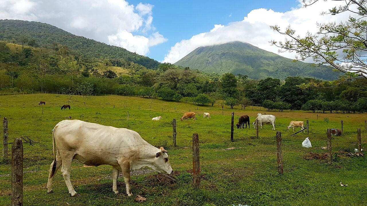 Tio Felix Eco Lodge La Fortuna Εξωτερικό φωτογραφία