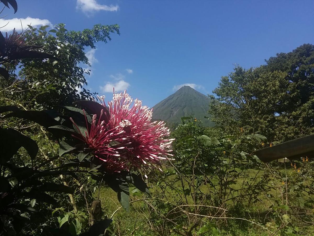 Tio Felix Eco Lodge La Fortuna Εξωτερικό φωτογραφία