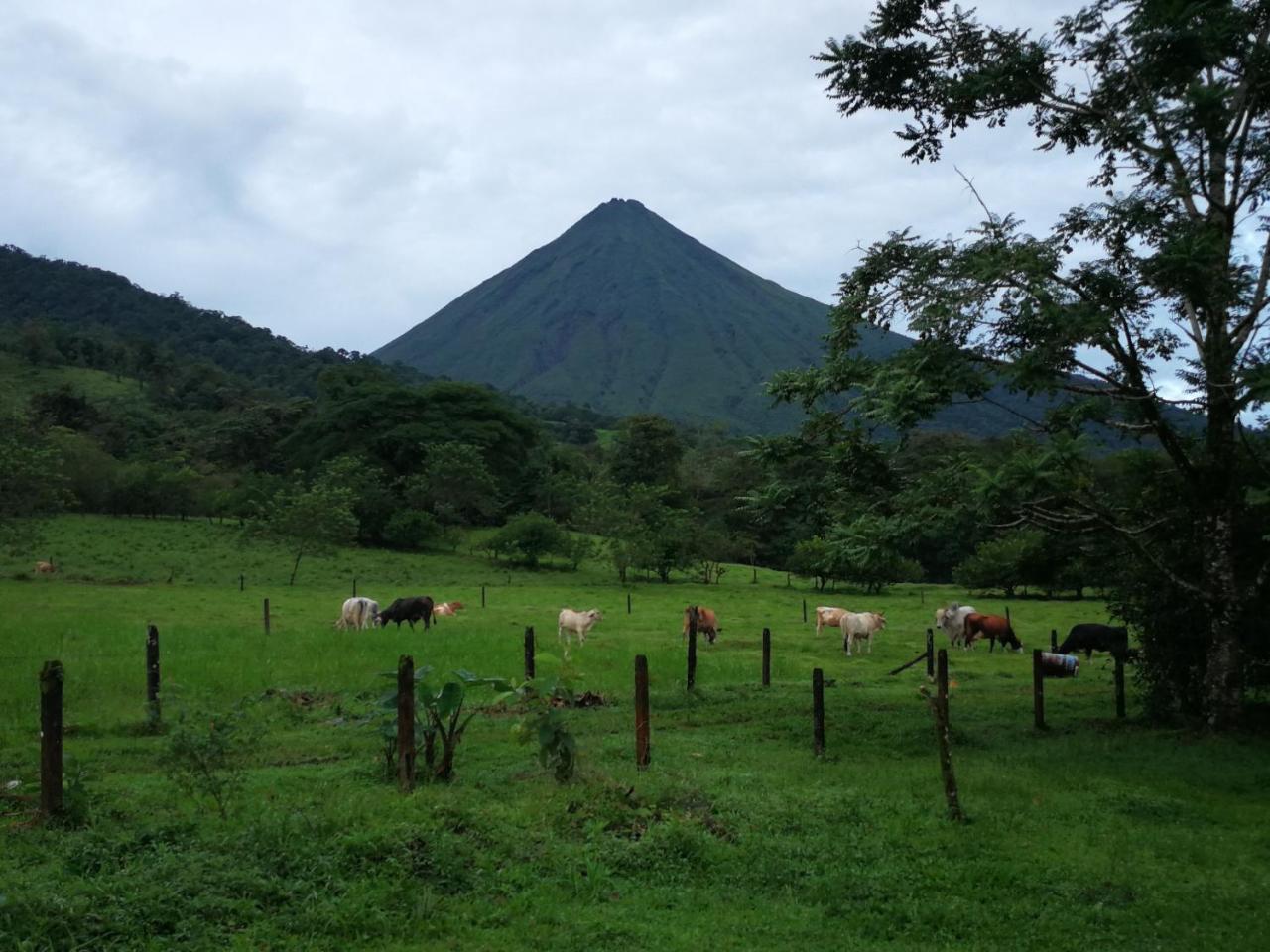 Tio Felix Eco Lodge La Fortuna Εξωτερικό φωτογραφία