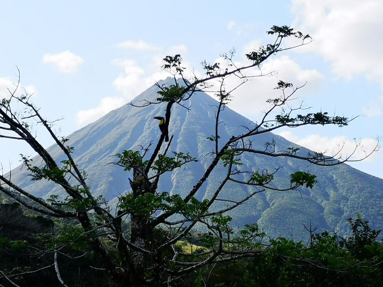 Tio Felix Eco Lodge La Fortuna Εξωτερικό φωτογραφία