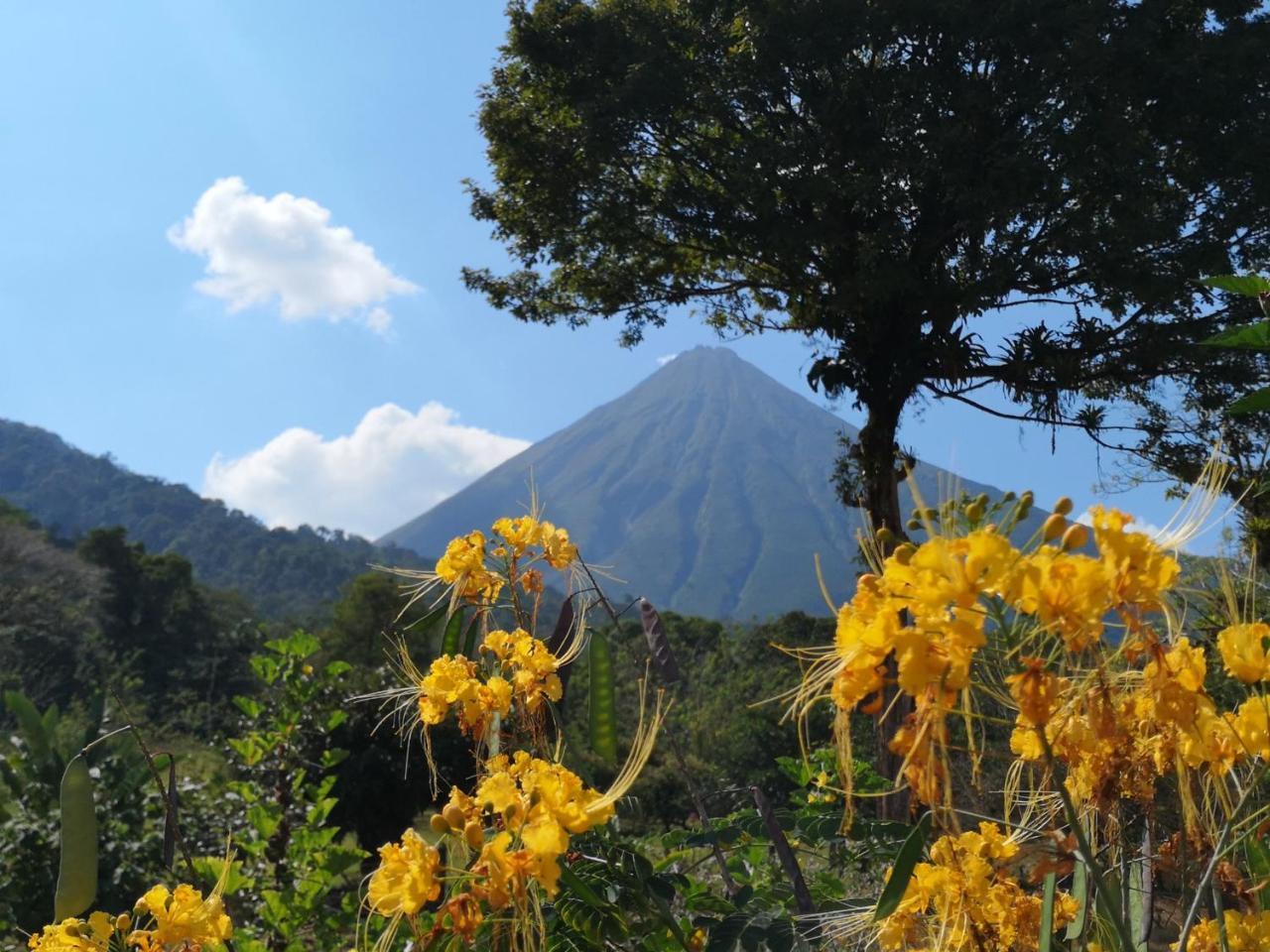 Tio Felix Eco Lodge La Fortuna Εξωτερικό φωτογραφία